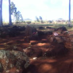 Kukaniloko Birth Stones